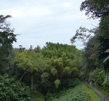 Akaka falls park